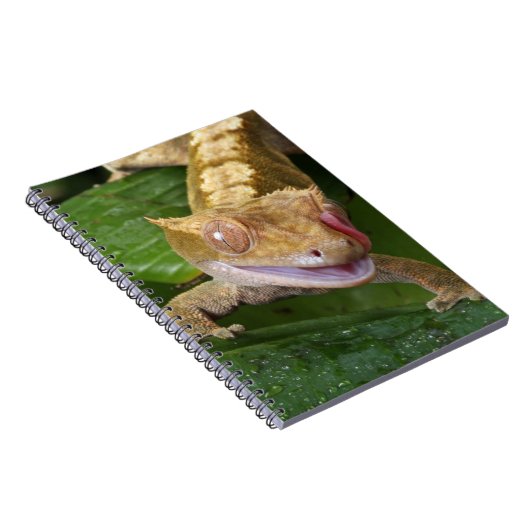 Crested Gecko Notitieboek (Rechterzijde)