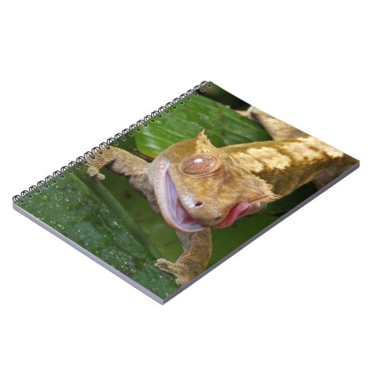 Crested Gecko Notitieboek (Linkerzijde)