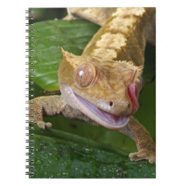 Crested Gecko Notitieboek