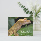 Crested Gecko op een blad Briefkaart (Staand voorkant)