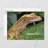 Crested Gecko op een blad Briefkaart (Voorkant / Achterkant)