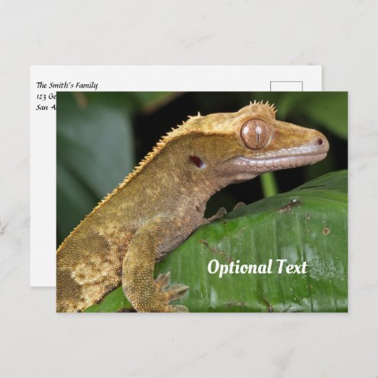 Crested Gecko op een blad Briefkaart (Voorkant / Achterkant)