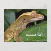 Crested Gecko op een blad Briefkaart (Voorkant)