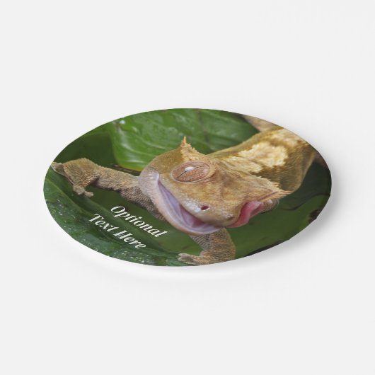 Crested Gecko Papieren Bordje (Gekanteld)