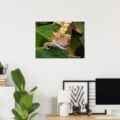 Crested Gecko Poster (Thuiskantoor)