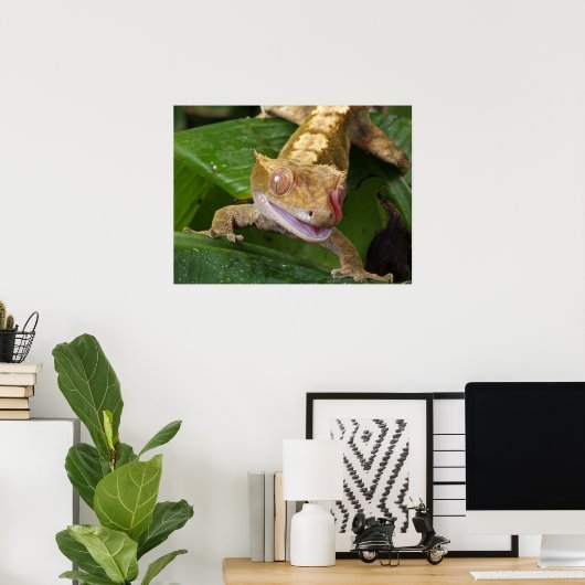 Crested Gecko Poster (Thuiskantoor)
