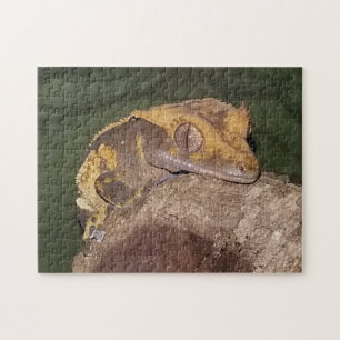 Crested Gecko Puzzle Legpuzzel