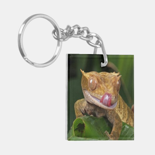 Crested Gecko Sleutelhanger (Voorkant Links)