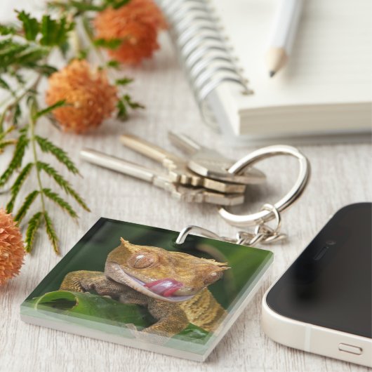 Crested Gecko Sleutelhanger (Voorkant Rechts)