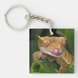 Crested Gecko Sleutelhanger