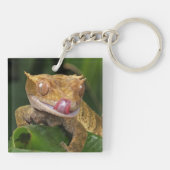 Crested Gecko Sleutelhanger (Achterkant)