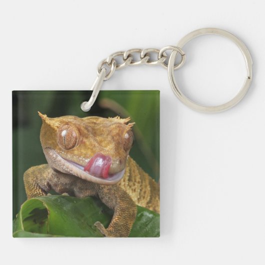 Crested Gecko Sleutelhanger (Achterkant)