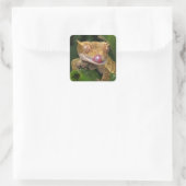 Crested Gecko Vierkante Sticker (Tas)