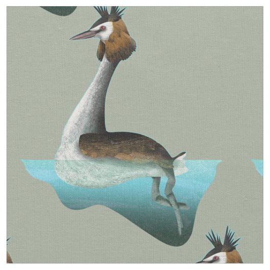 Crested Grebe Stof (Close Up)