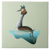 Crested Grebe Tegeltje (Voorkant)