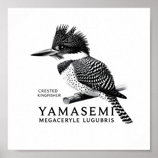 Crested Kingfisher Black & White Art Print (Voorkant)