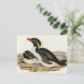 Crested Penguin door Elizabeth Gould Briefkaart (Staand voorkant)