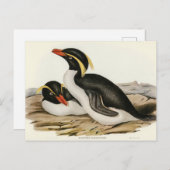Crested Penguin door Elizabeth Gould Briefkaart (Voorkant / Achterkant)