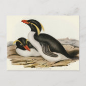 Crested Penguin door Elizabeth Gould Briefkaart (Voorkant)