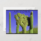 Crested Saguaro in het Congres, Arizona Briefkaart (Voorkant / Achterkant)