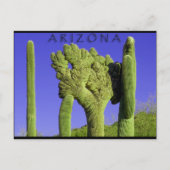 Crested Saguaro in het Congres, Arizona Briefkaart (Voorkant)