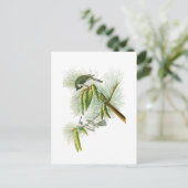 Crested Titmouse John James Audubon Birds America Briefkaart (Staand voorkant)