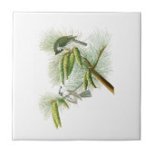 Crested Titmouse John James Audubon Birds America Tegeltje (Voorkant)