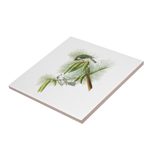 Crested Titmouse John James Audubon Birds America Tegeltje (Zijkant)