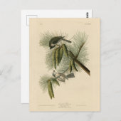 Crested (Tufted) Titmouse Audubon Birds of America Briefkaart (Voorkant / Achterkant)