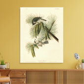 Crested (Tufted) Titmouse Audubon Birds of America Canvas Afdruk (Insitu (Woonkamer))