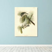 Crested (Tufted) Titmouse Audubon Birds of America Canvas Afdruk (Insitu (Houten vloer))