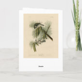 Crested (Tufted) Titmouse Audubon Birds of America Kaart (Achterkant)
