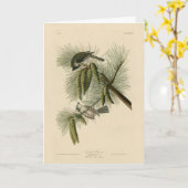 Crested (Tufted) Titmouse Audubon Birds of America Kaart (Gele Bloem)