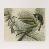 Crested (Tufted) Titmouse Audubon Birds of America Legpuzzel (Horizontaal)