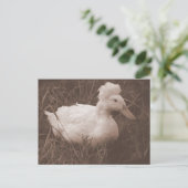 Crestie de Crested Duck Briefkaart (Staand voorkant)
