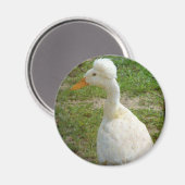 Crestie Magneet (Voorkant / Achterkant)