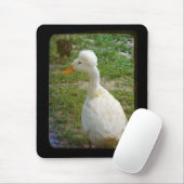 Crestie Muismat (Met muis)