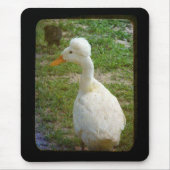 Crestie Muismat (Voorkant)