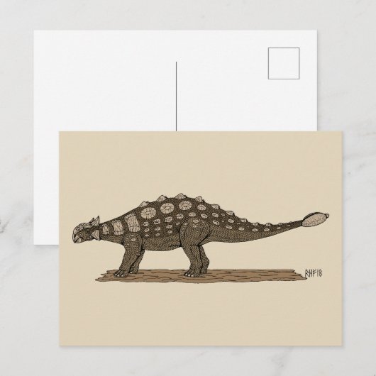 Cretacous Dinosaur Ankylosaurus Briefkaart (Voorkant / Achterkant)