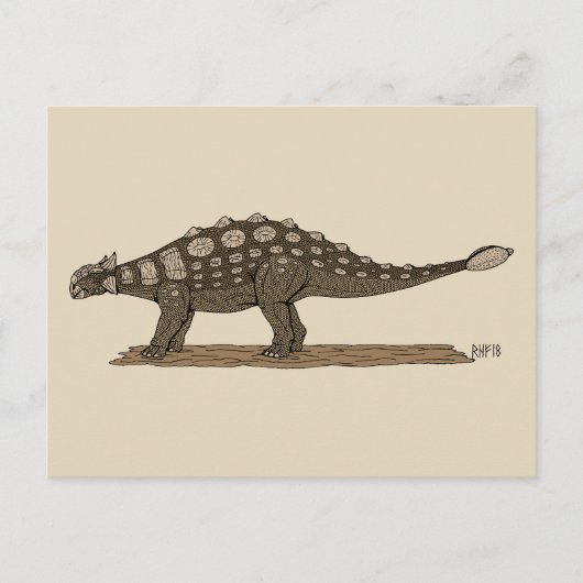 Cretacous Dinosaur Ankylosaurus Briefkaart (Voorkant)