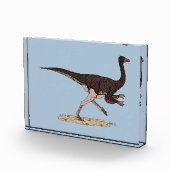 Cretacous Dinosaur Ornithomimus Fotoblokken (Rechts)