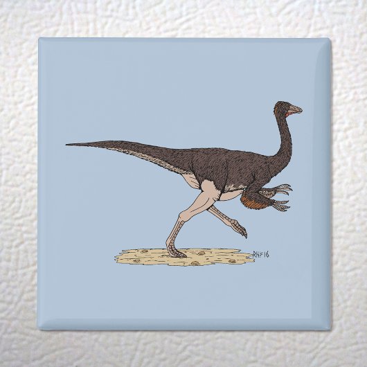 Cretacous Dinosaur Ornithomimus Magneet