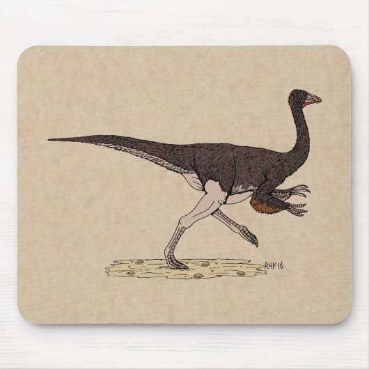 Cretacous Dinosaur Ornithomimus Muismat (Voorkant)