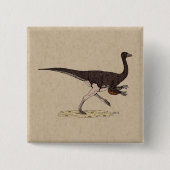 Cretacous Dinosaur Ornithomimus Vierkante Button 5,1 Cm (Voorkant)