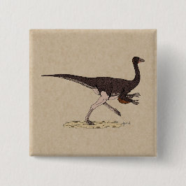 Cretacous Dinosaur Ornithomimus Vierkante Button 5,1 Cm
