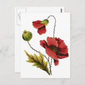 Crewel de Rode Papaver van het Borduurwerk Briefkaart (Voorkant / Achterkant)