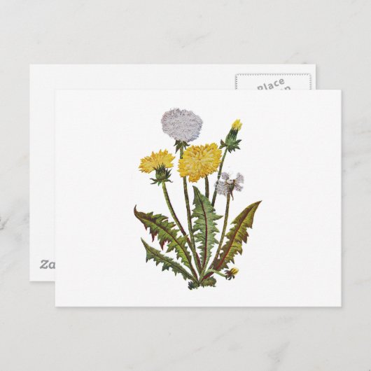 Crewel geborduurde gouden dandy leeuwen briefkaart (Voorkant / Achterkant)