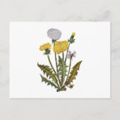 Crewel geborduurde gouden dandy leeuwen briefkaart (Voorkant)