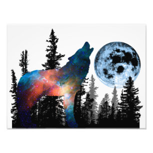 Cri du Loup Animal Forêt Sauvage Natuur Monde Terr Foto Afdruk