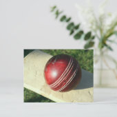 cricket-ball-and-bat.jpg briefkaart (Staand voorkant)